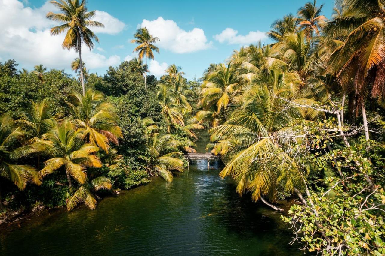St. Regis Bahia Beach Resort, Puerto Rico Río Grande Exterior foto